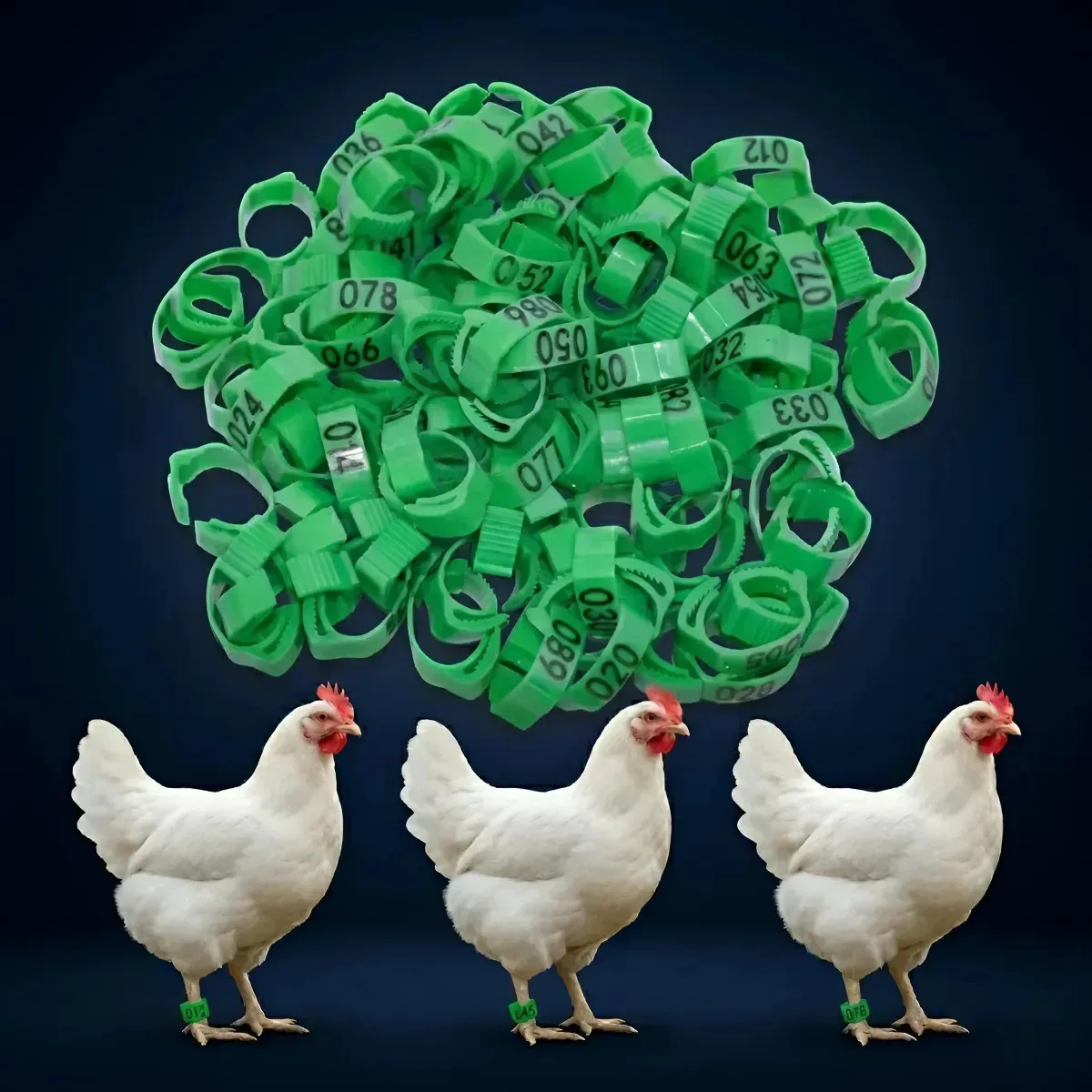 Kit 100 Anilhas Ajustáveis Numeradas Galinhas Patos Frangos Verde