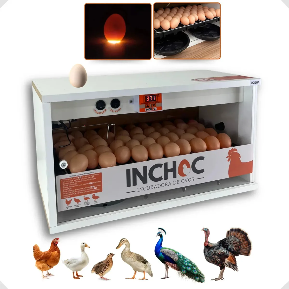 Chocadeira Rolagem Automatica 100 Ovos Codorna E 50 Galinha