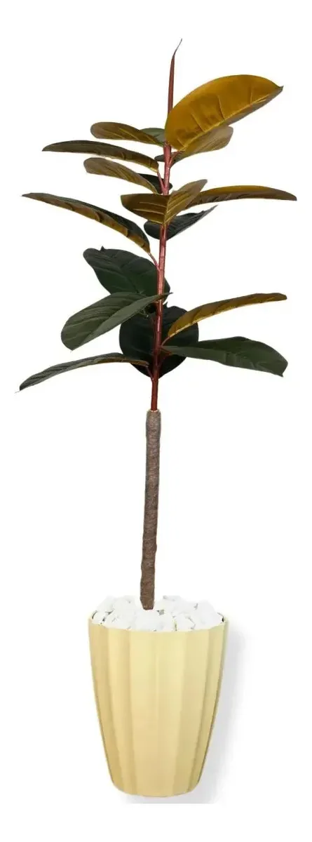 Planta Artificial Grande Fícus Lyrata Outono Vaso Decorativo Cor Creme