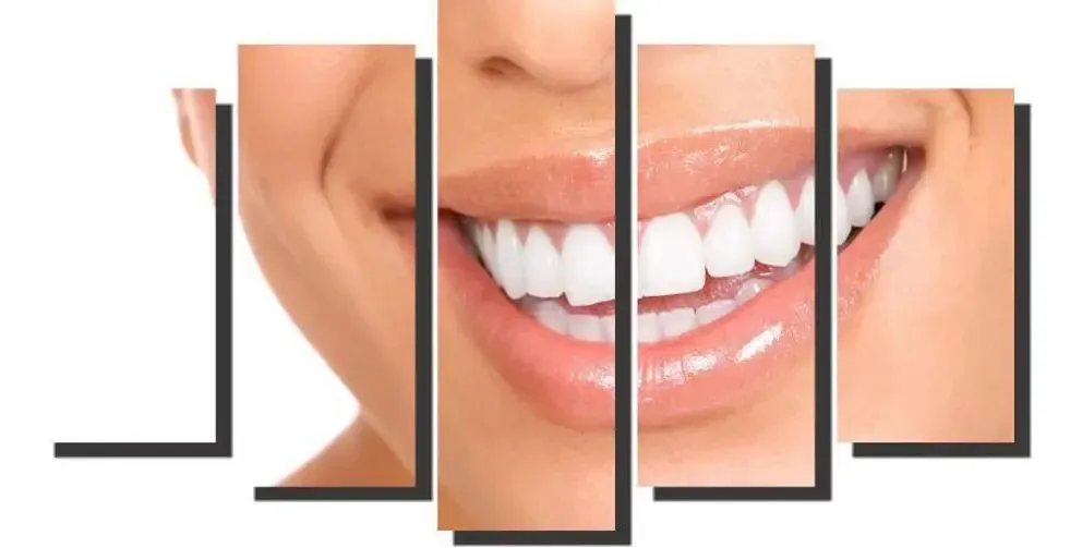 Quadro Decorativo Odontologia Dentista M6
