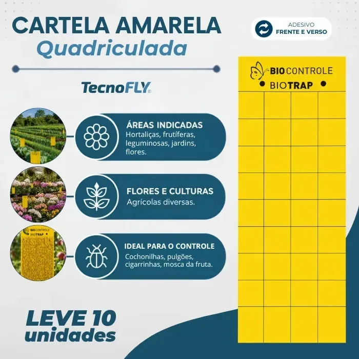 10 Armadilhas Amarela Adesiva Contra Insetos Colante Forte