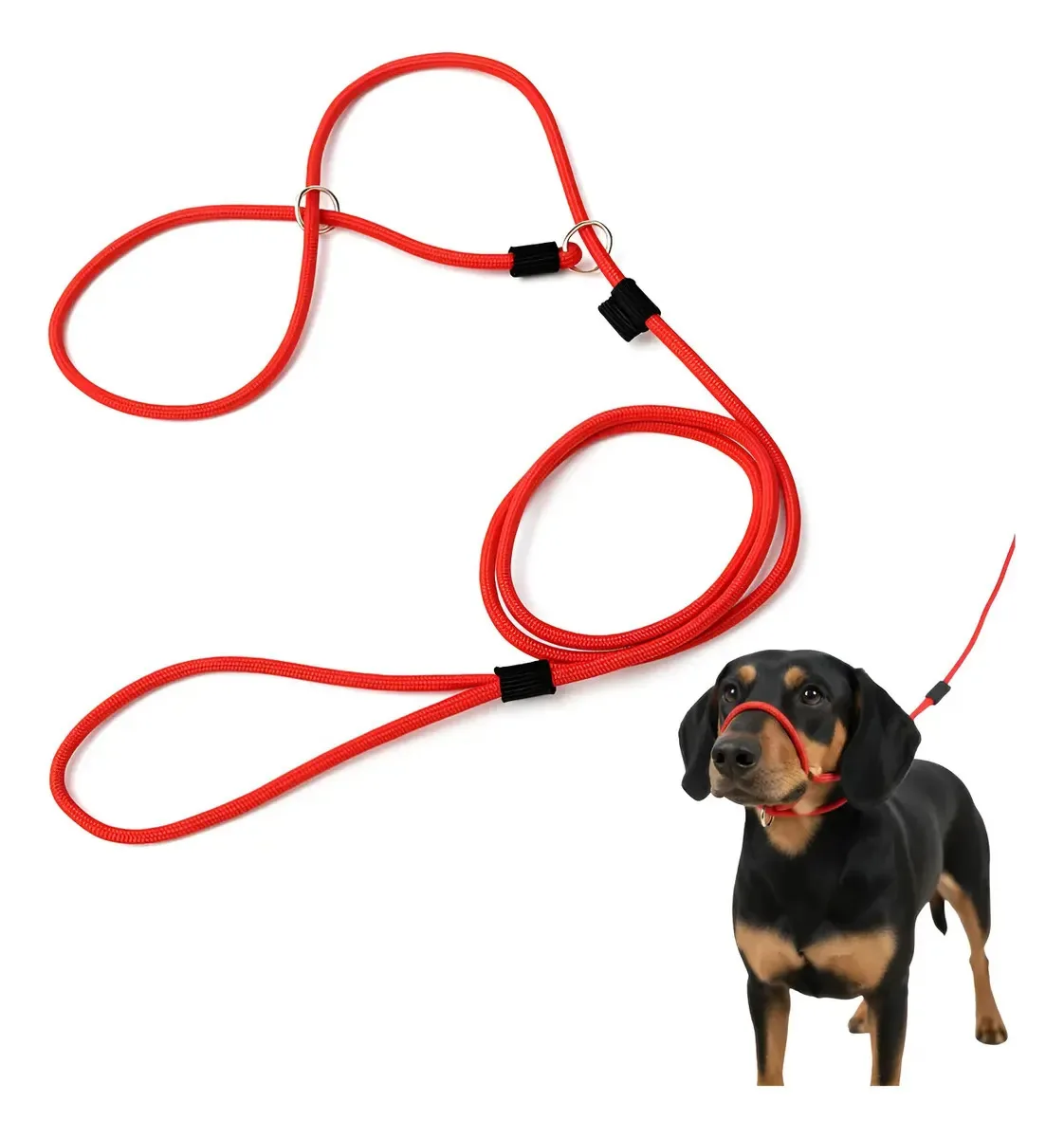 Guia De Adestramento Passeio Unificada 8mm Cães Cachorro Cor Vermelho