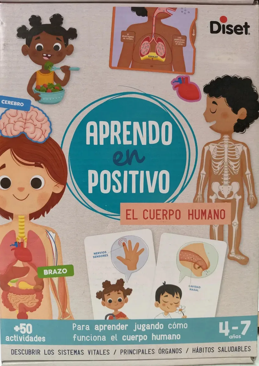 Jogo divertido para crianças: corpo humano, órgãos positivos