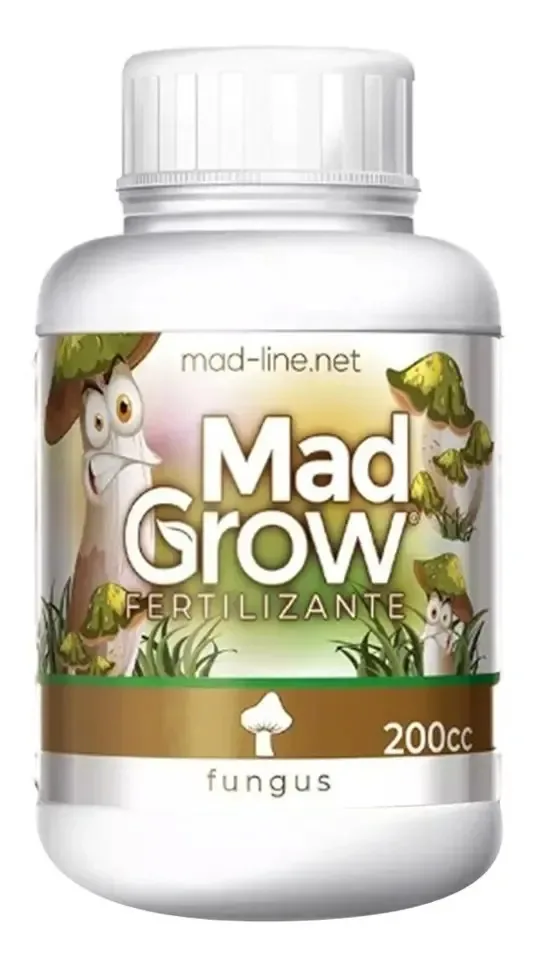 Azeitona Verde Sache Dia 100g