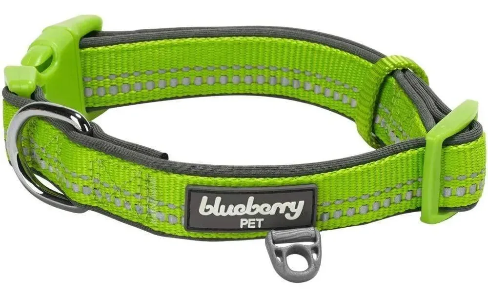 Mirtilo - coleiras, arneses ou tiras acolchoadas Reflect. Neoprene de poliéster Green Flash Xs