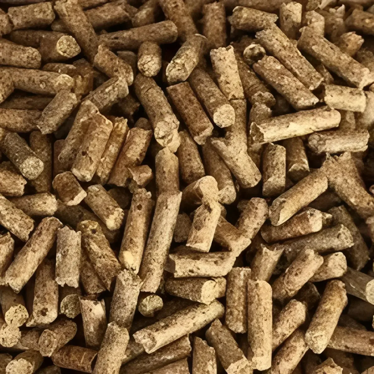 Ração Presence Do Campo Para Coelhos Reduz Odor De Fezes 1kg