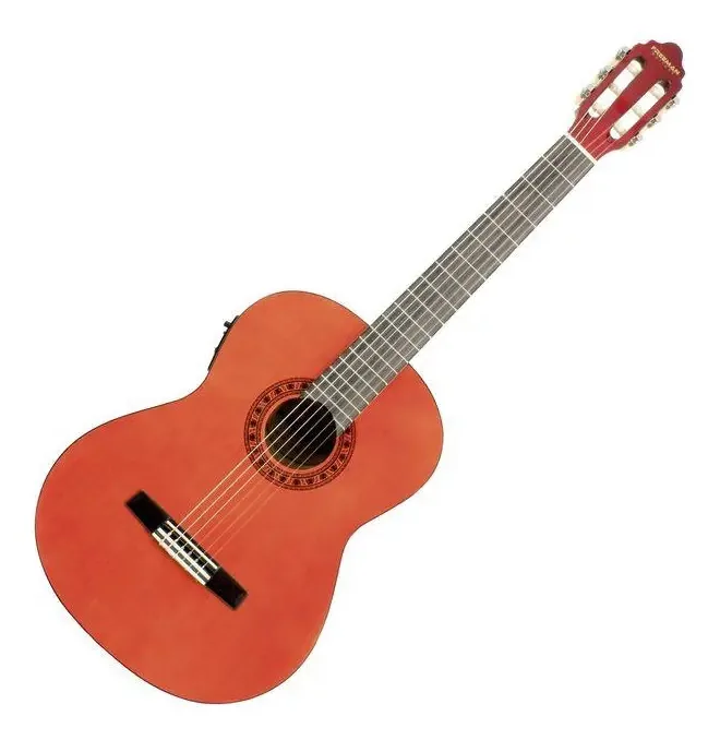 Guitarra Eletroacústica Freeman Cg170 Nt