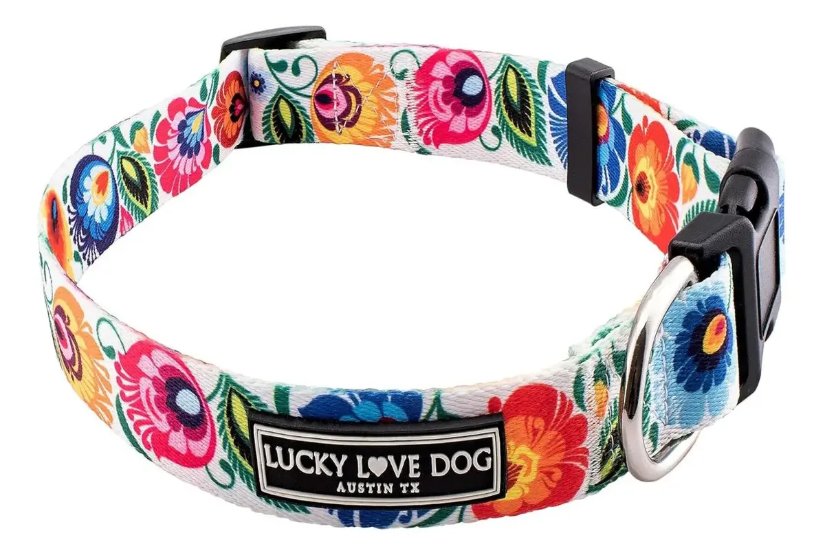 Coleiras para cães Lucky Love, coleira floral para cães