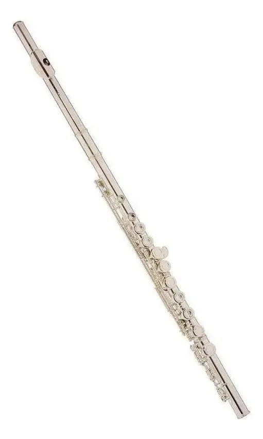 Flauta Transversal Eagle prata Fl03s C/ Estojo Luxo