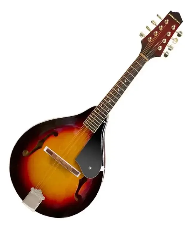 Bandolim Freeman LM1 Color Sunburst