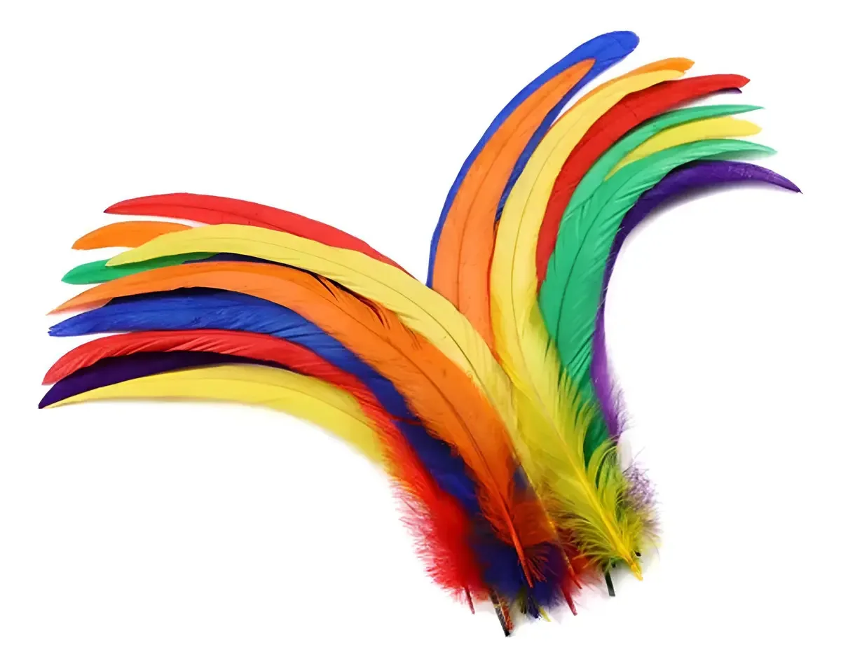 Penas de galo naturais com 60 penas, 25-30 cm, cor, multicolor