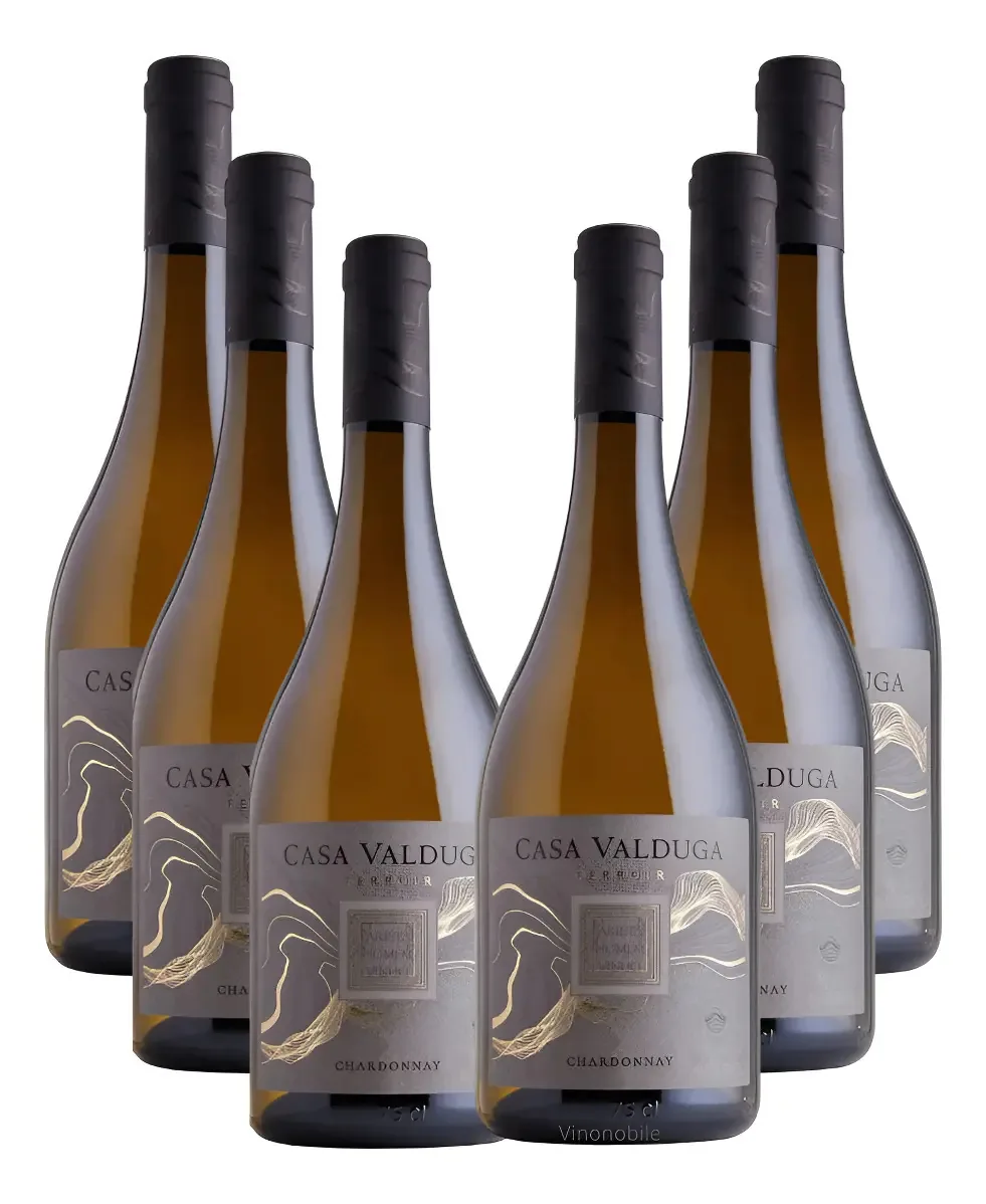 Kit 6 Vinhos Casa Valduga Terroir Chardonnay 750 Ml
