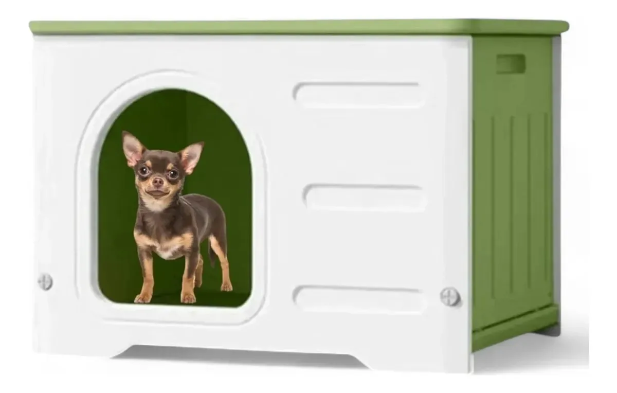 Casinha de cachorro chihuahua verde confortável e durável