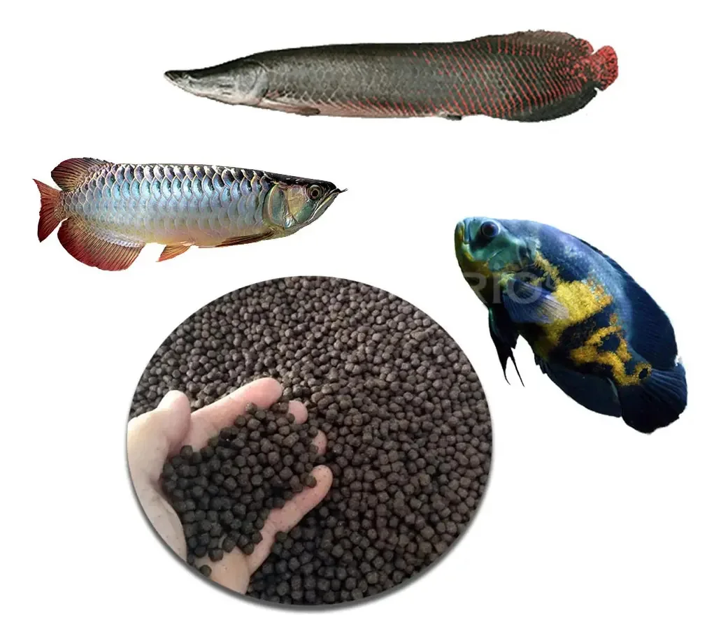Ração Para Peixes Carnívoros, Pirarucu, Oscar E Outros - 5kg