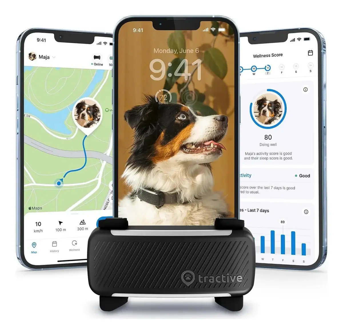 Rastreador GPS Tractive TG6a Black para cães - Saúde e
