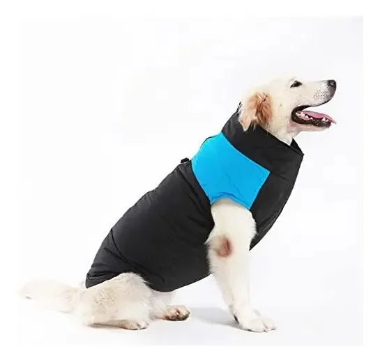 Colete azul para cães 3xl