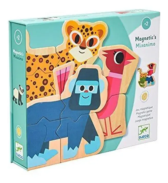 Conjunto de jogos magnético Mixanimo Djeco