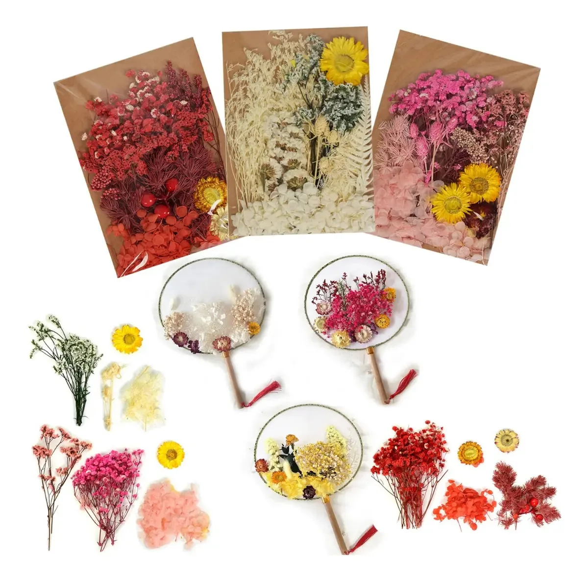 Flores naturais secas prensadas para artesanato, 3 peças, cor, modelo A