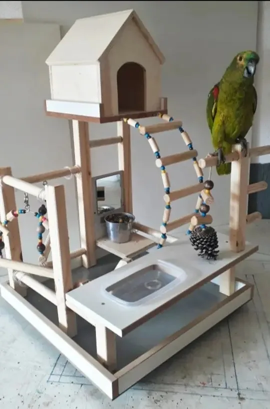 Brinquedo - Papagaio - Playground - Parquinho - Casinha