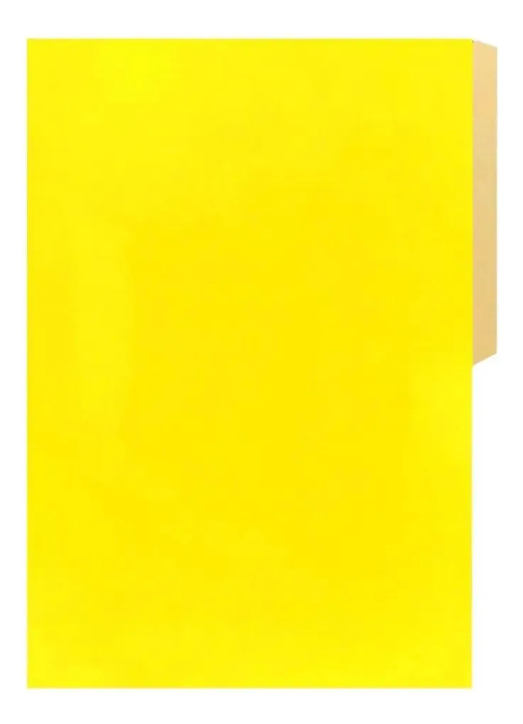 Cartão Halley Carpeta Pigmentada Amarelo