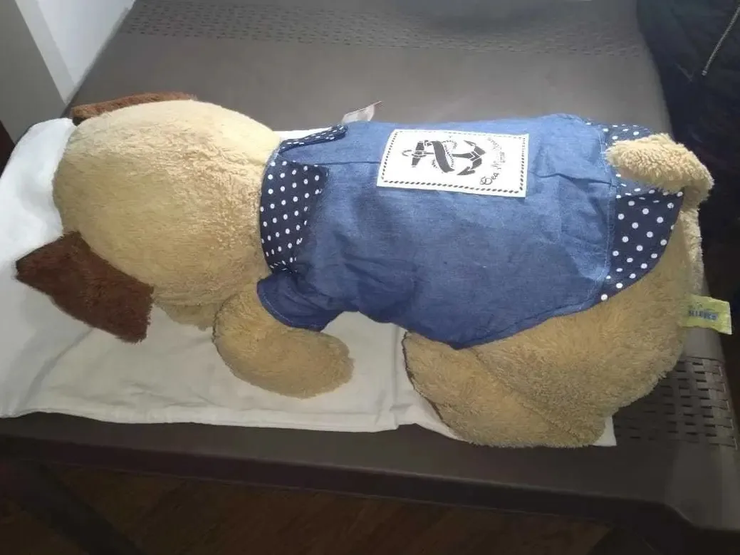 Camiseta azul marinha de roupas para cachorros