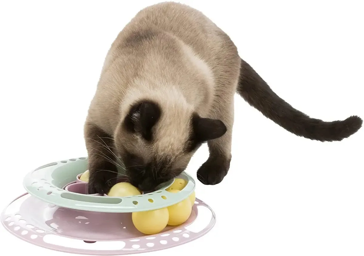 Circuito divertido de brinquedos interativos Cats Balls