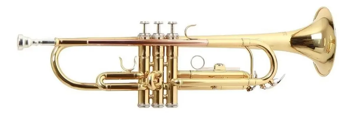 Estojo Cornet with Tone Bb Tudel Ml Roy Benson Cr-202 cor dourada