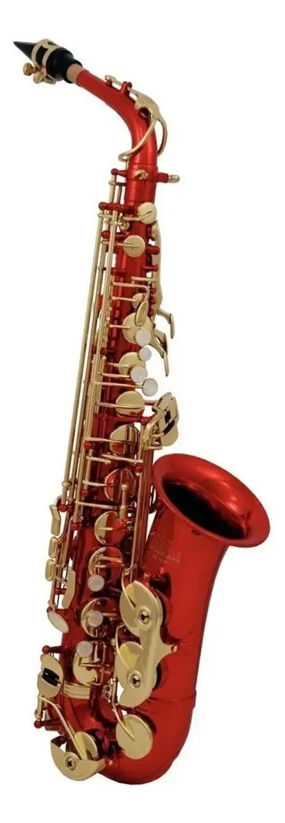 Saxofone Roy Benson AS-202r