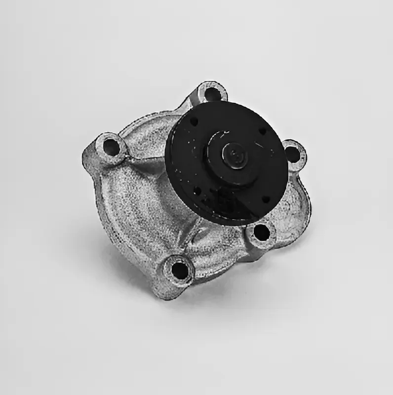 Bomba de água Hepu P310, refrigeração do motor