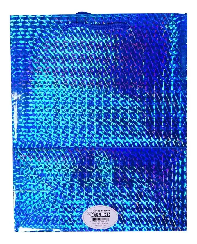 Bolsa laser grande - Marca: Modelo