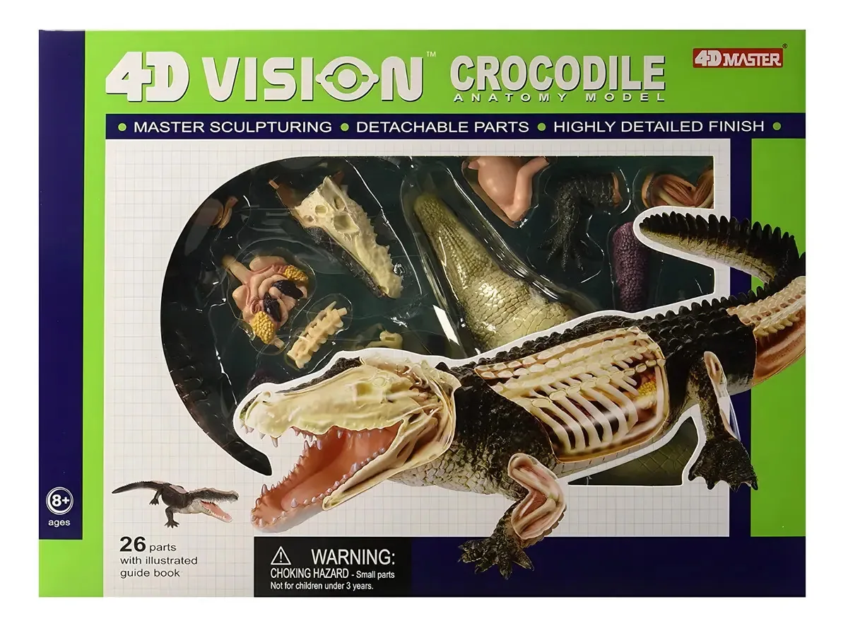 Modelo de crocodilo anatômico Crocodile Vision 4D/26 unidades
