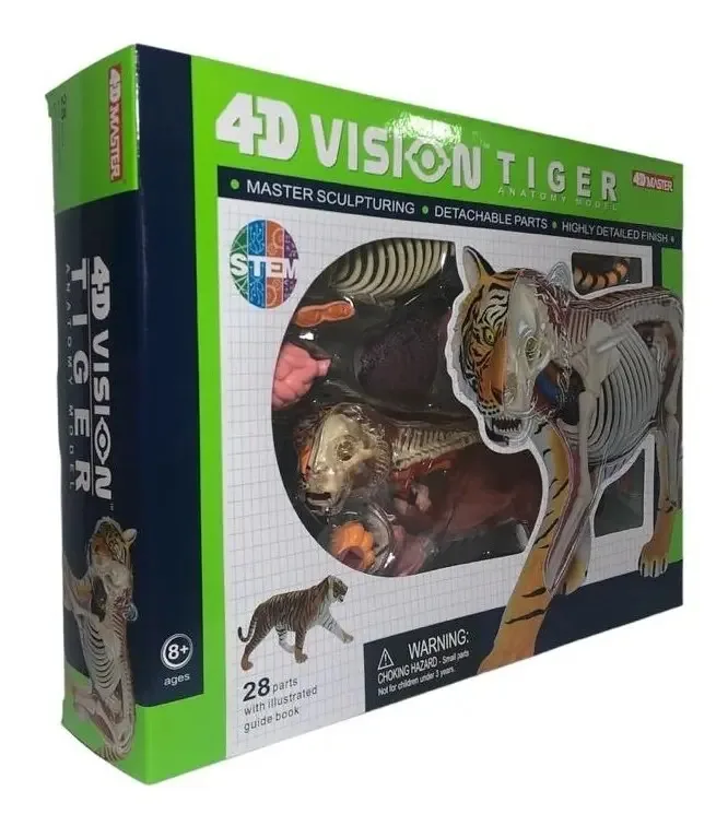 Modelo de tigre anatômico/Anatomy Tiger (28 unidades)