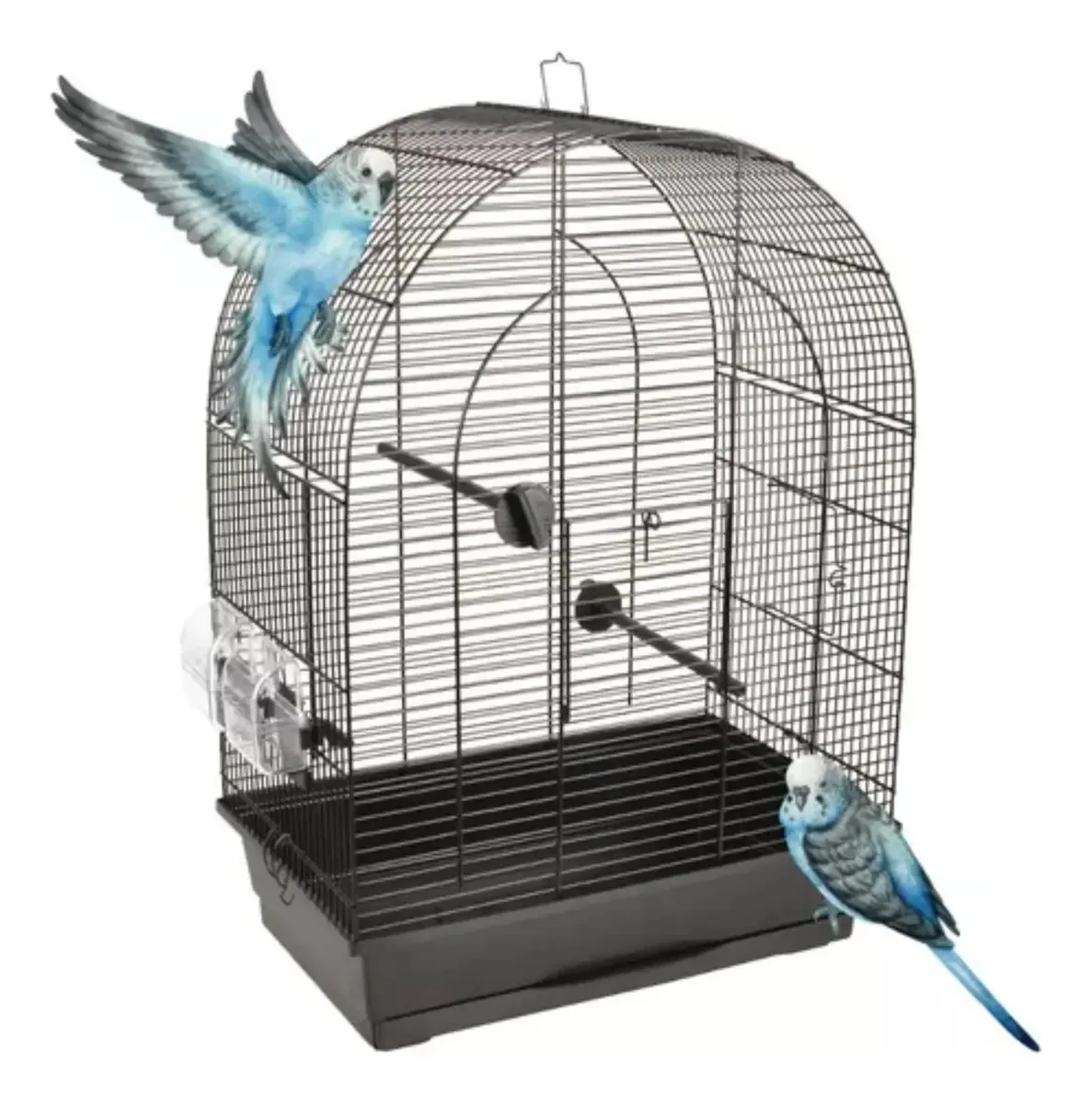 Gaiola completa para pássaros canários periquitos pretos