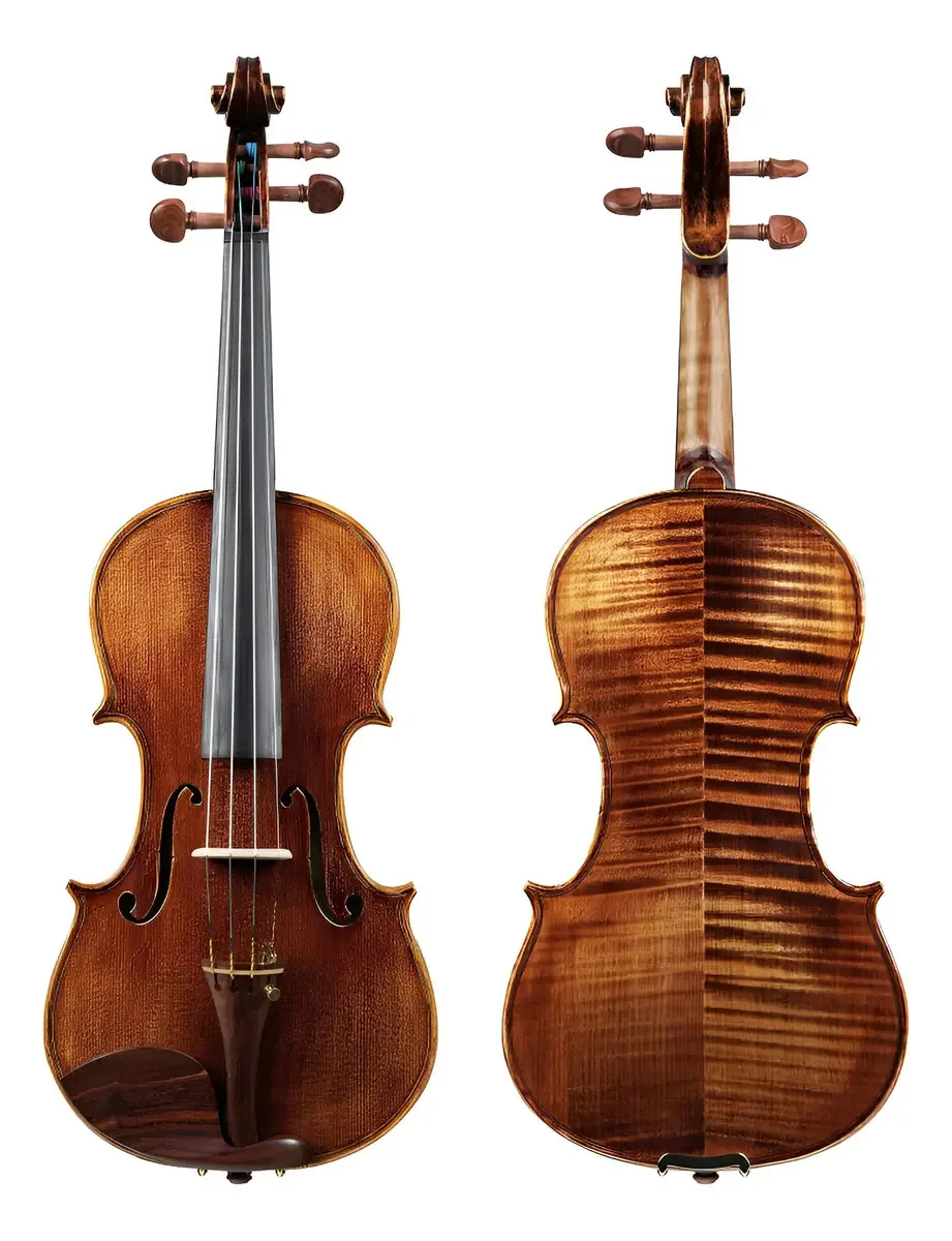 Phoenix Violin Professional (ovs301t) Cor verde escuro
