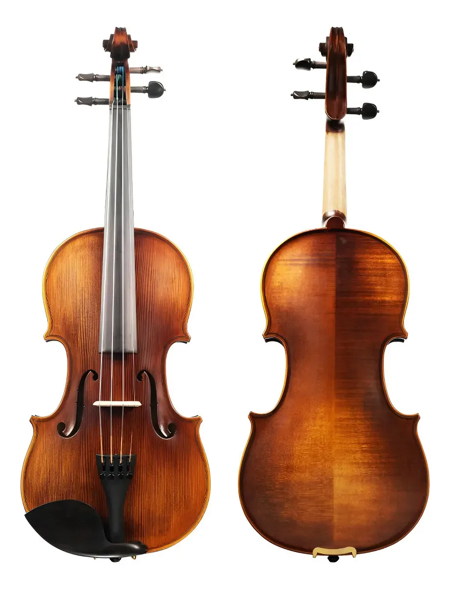 Phoenix Violin Professional (ovz101e-glossy) Cor OVZ101e-Glossy