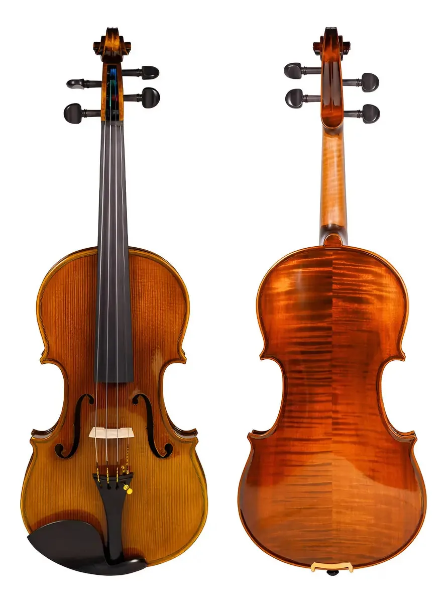 Phoenix Violin Professional (ovz101e-mate) Cor verde escuro
