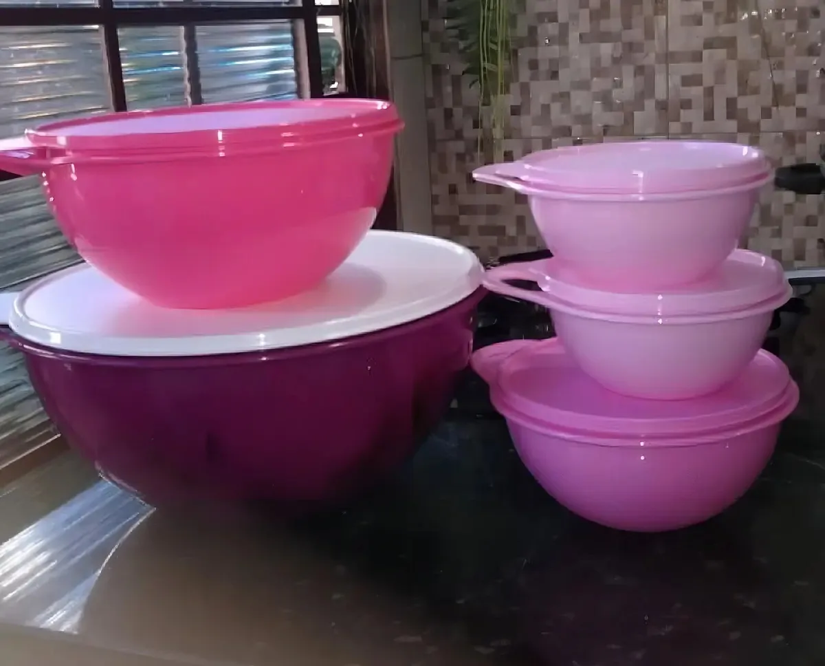 Tupperware Kit Tigelas Criativas Pronta 24 Hrs