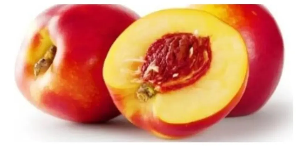 Nectarina Fruta Doce: Muda Enxertada Para Produzir