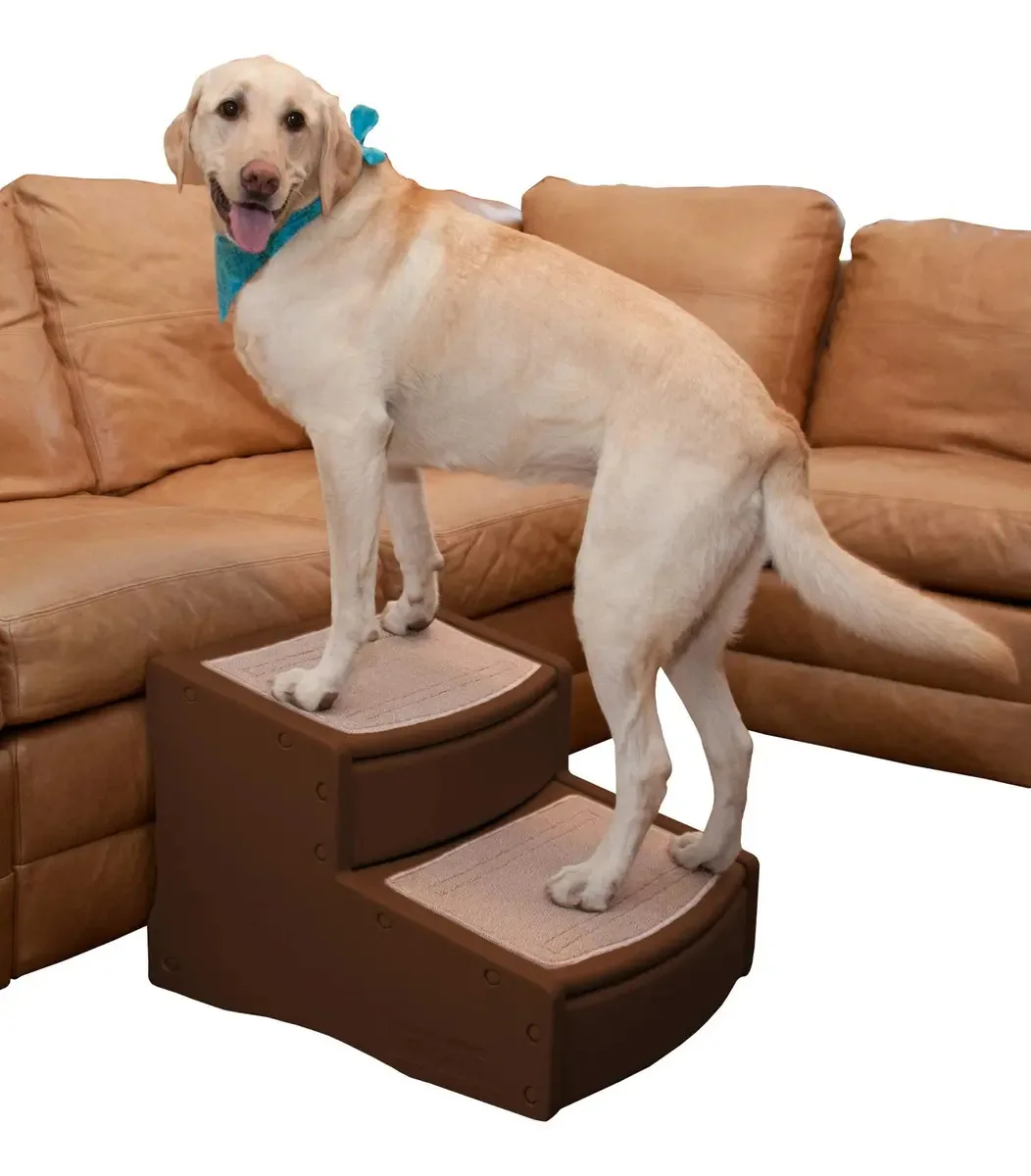 Escadas extra largas para animais de estimação de 2 degraus Color Choco