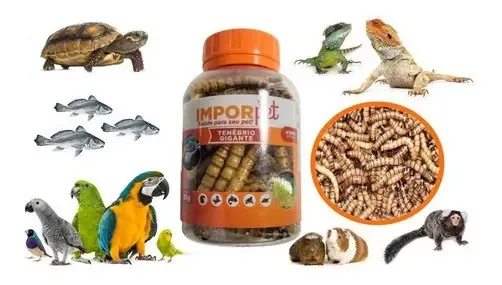 Pote Tenébrios Gigantes P/ Aves Peixes Répteis Roedores 35g