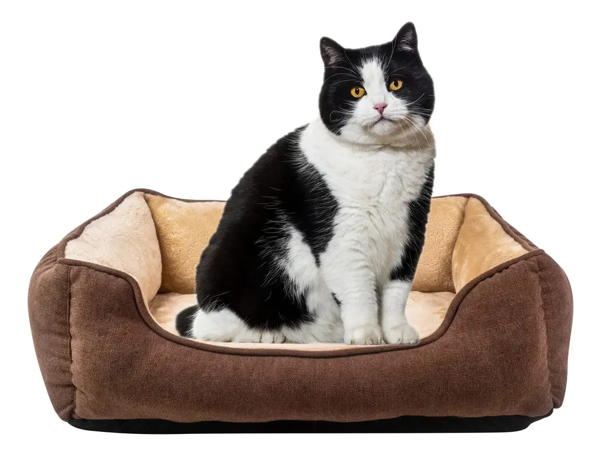 Happycare Textiles - Cama longa retangular para cães para. Cor marrom com inserção ortopédica