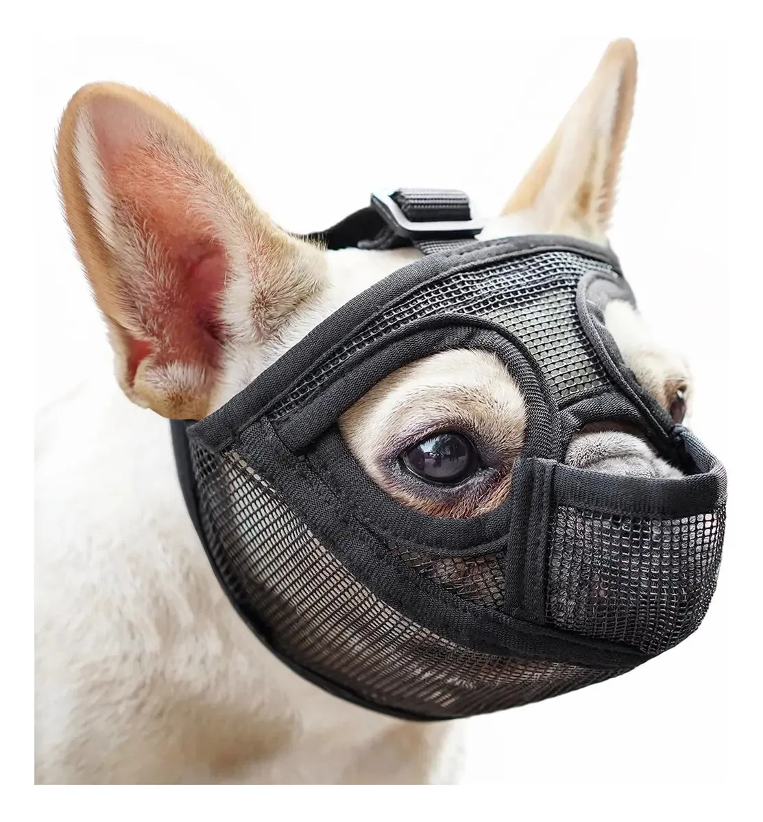 Focinho curto Bulldog para cães, cor preta, tamanho M