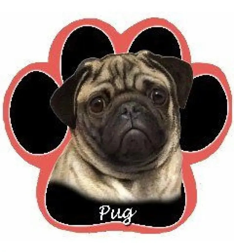 Mouse pad antiderrapante com pata de cachorro