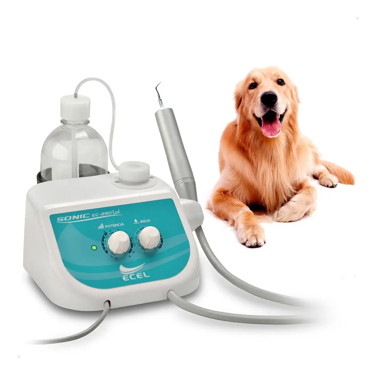 Ultrassom Veterinário com LED para Diagnóstico Preciso da Ecel