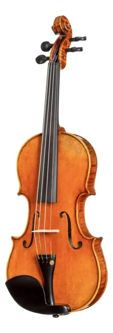 Violino D Z Strad 4-4 modelo 250 com acessórios e estojo