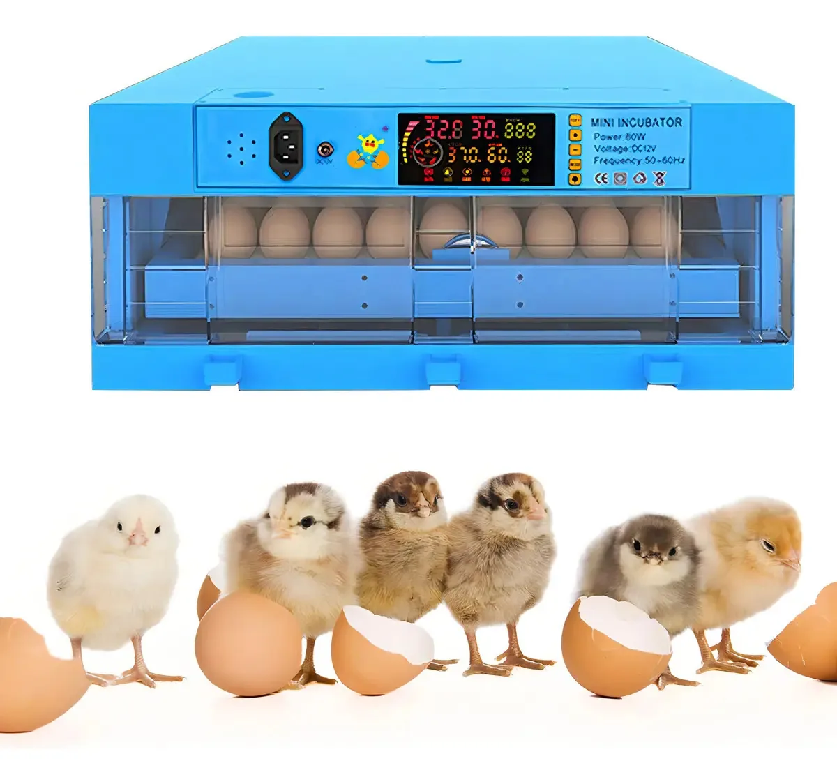 Incubadora automática de ovos com torção automática de ovos