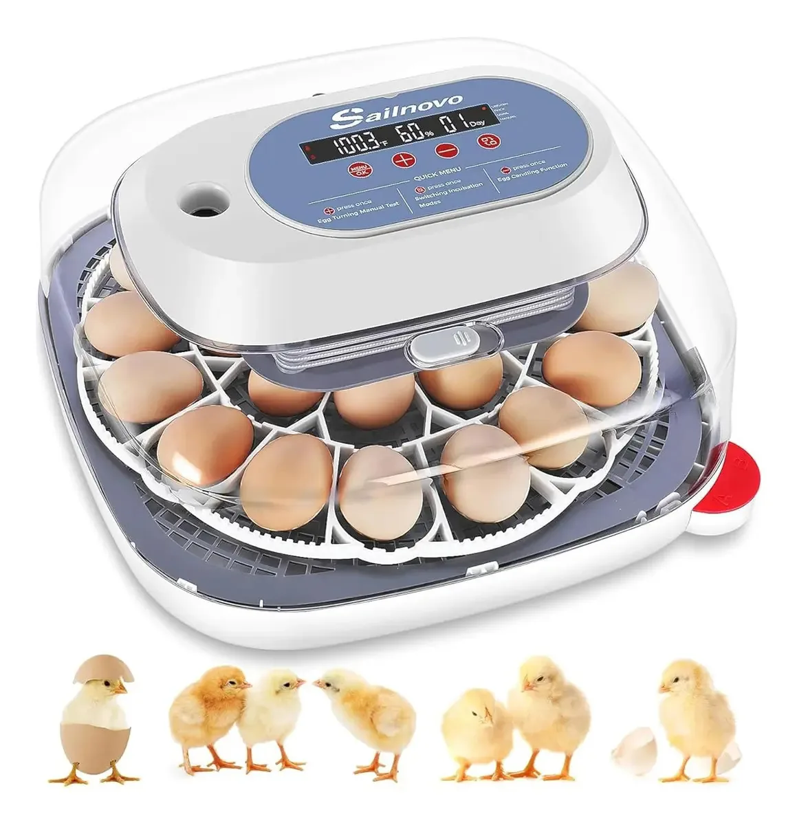 Incubadora automática de ovos com controle de temperatura