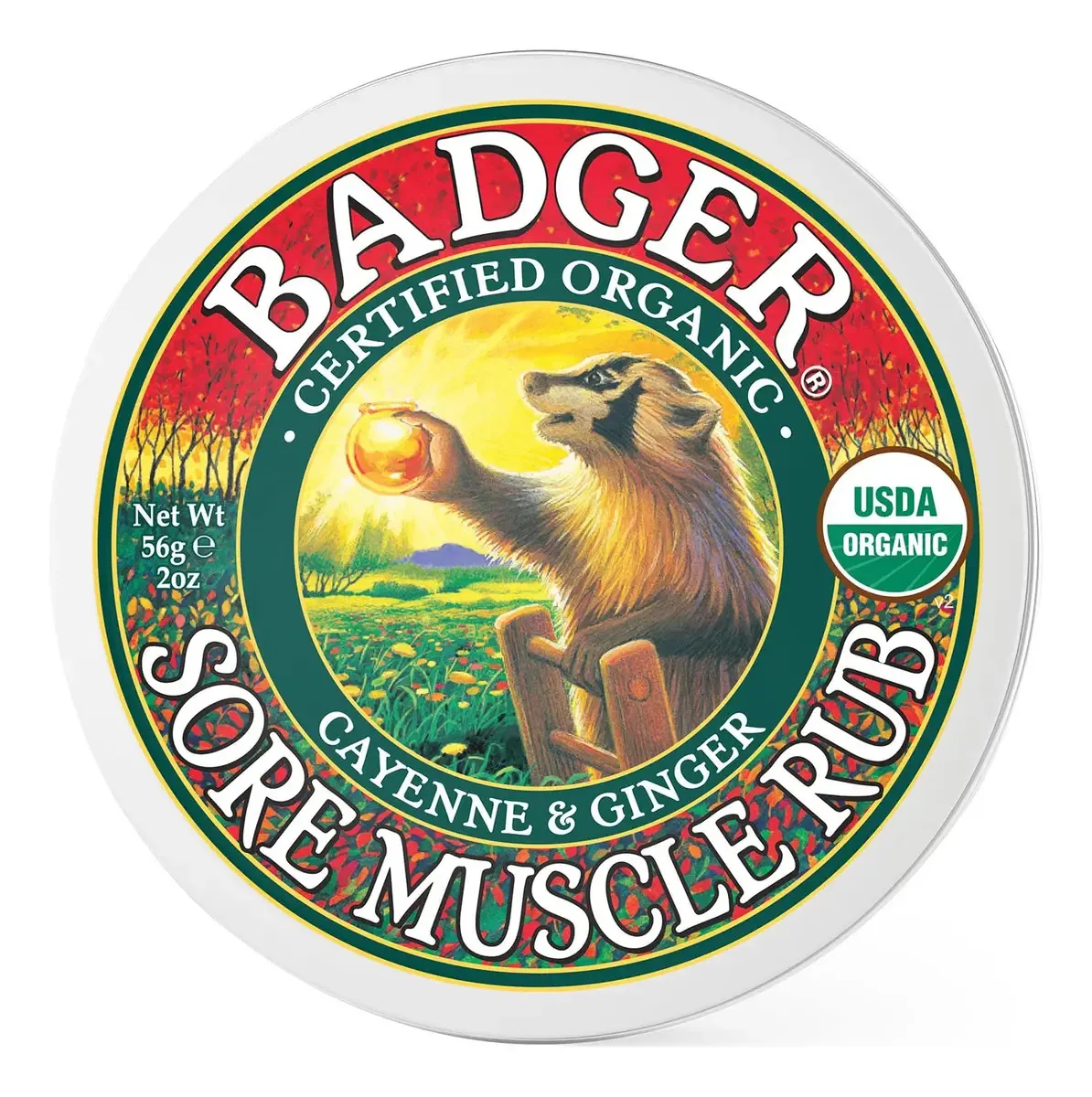 Prótese mamária externa Badger 688309
