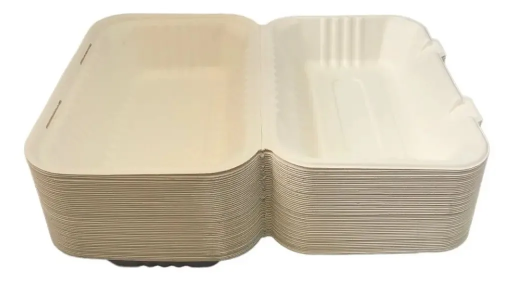 Recipiente para alimentos compostável sem divisão 23x15 cm - pacote com 50