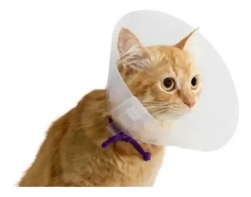 Coleiras elisabetanas para cães e gatos - Tamanho *xs* Mini coleira tamanho #00 Nome do design elisabetano Cor translúcida
